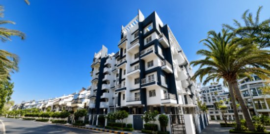 ambrosia-studios-project ambrosia-studios-