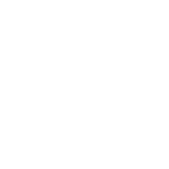 vision-icon
